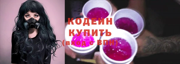 не бодяженный Инсар
