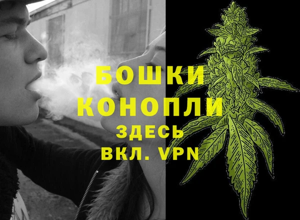 не бодяженный Инсар